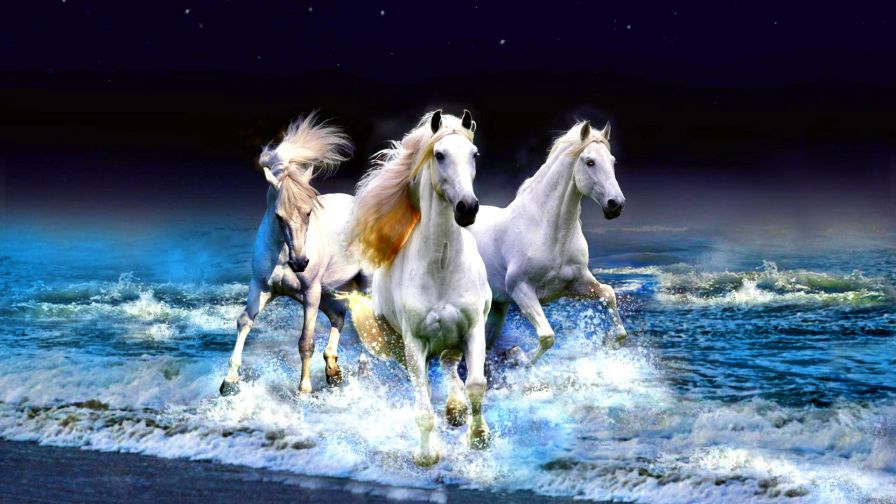 Horses Ocean Animal Wallpaper 328