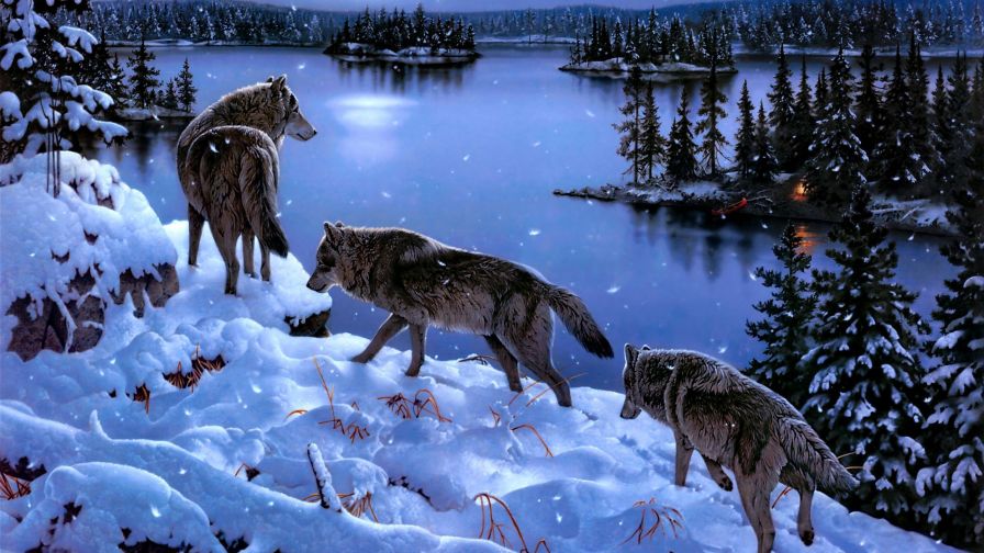 Pack of Wolves Wallpaper 413