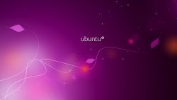 Purple Ubuntu Logo Wallpaper 635