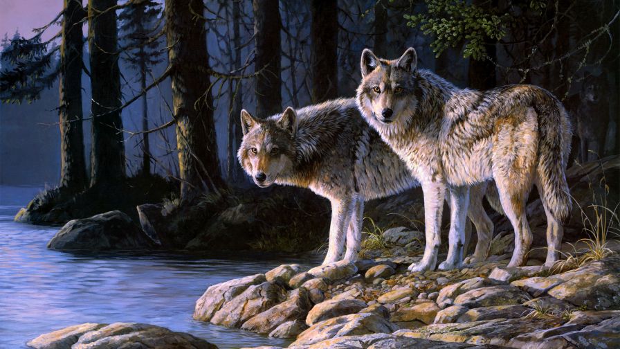 Wolf Pack Animal Wallpaper 142
